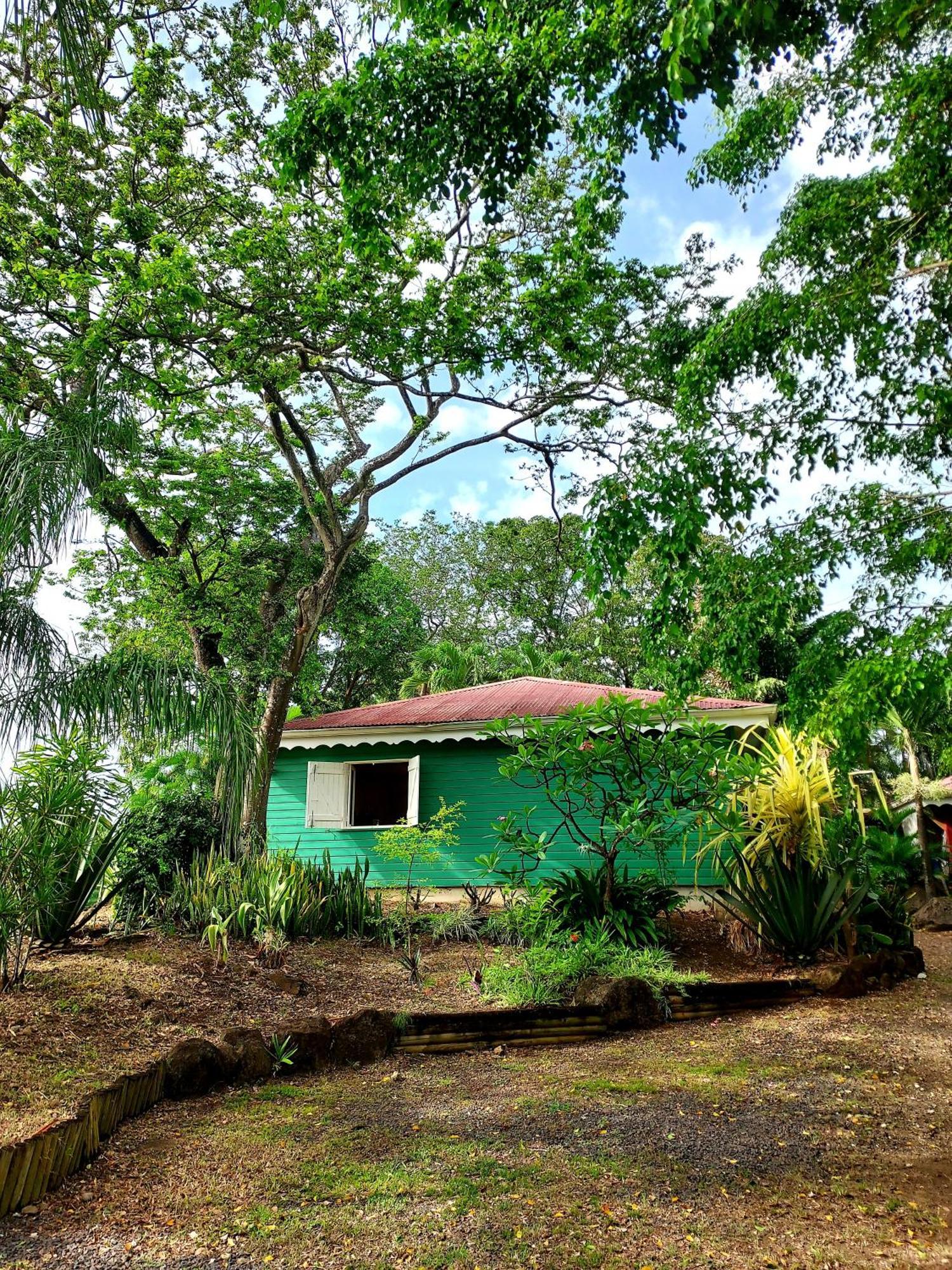 Bungalow Du Jardin Botanique De Deshaies Room photo